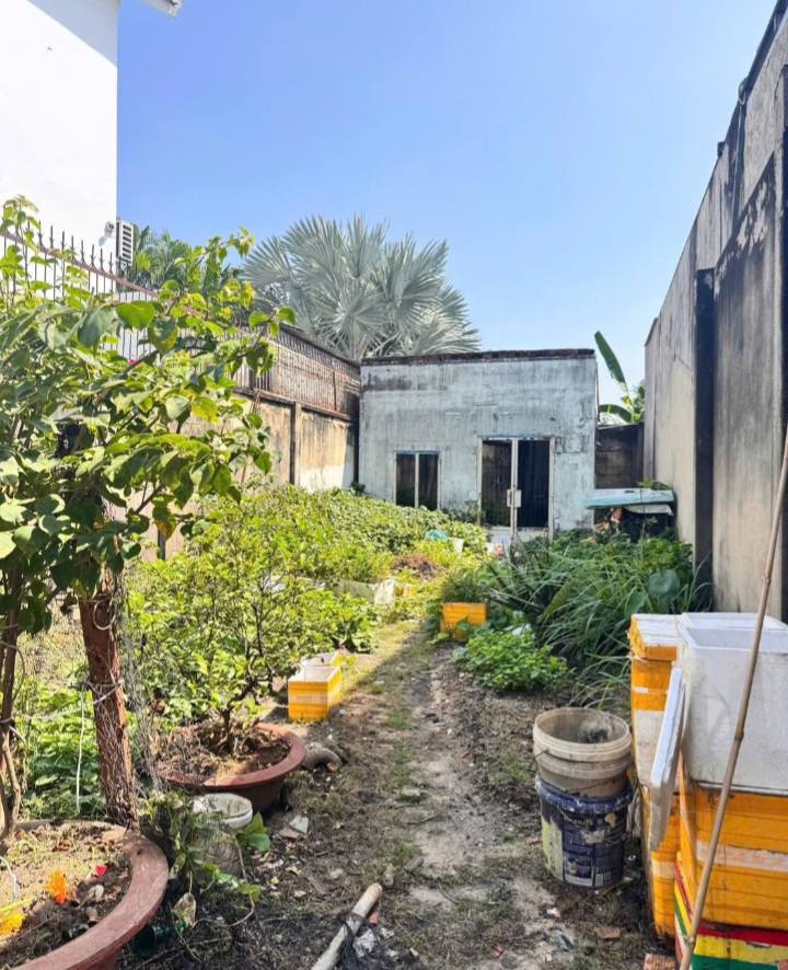 Đất thổ cư xã Thới Tam Thôn, Hóc Môn 100m² giá 3.03 tỷ - Sổ hồng riêng, tiện ích đầy đủ!