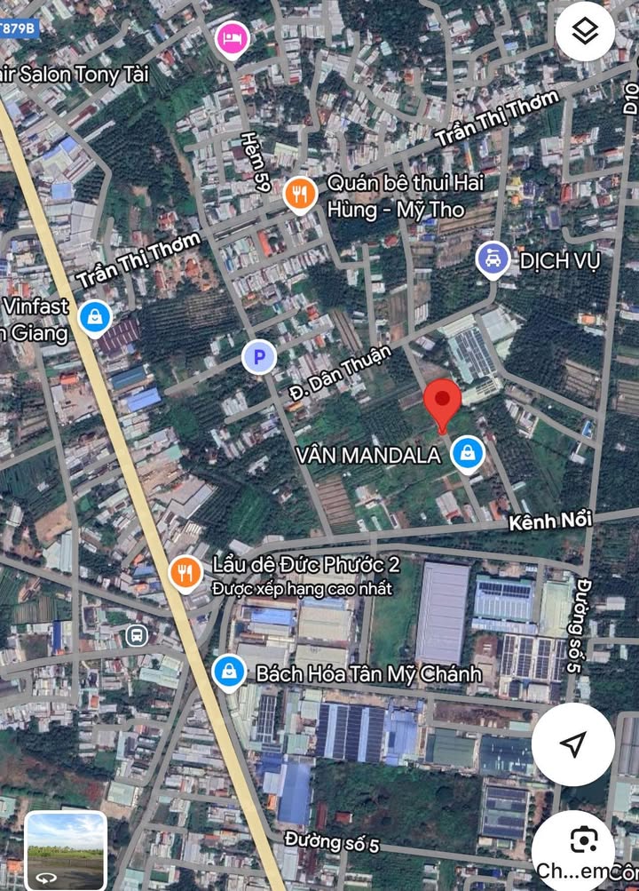 Bán vườn dừa tơ 2 công tại Khu Dân Thuận, Tân Mỹ Chánh - Đầu tư sinh lời tốt!