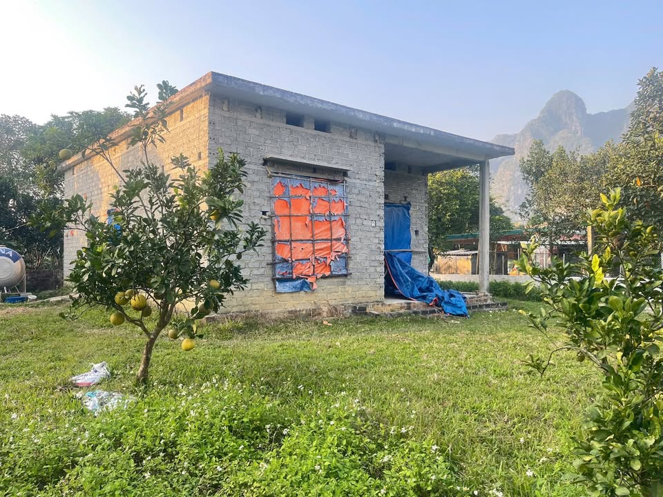 Đất vườn Phú Thành, Lạc Thủy 1.029m² giá 1.5 tỷ - Sẵn nhà và vườn cây ăn quả!