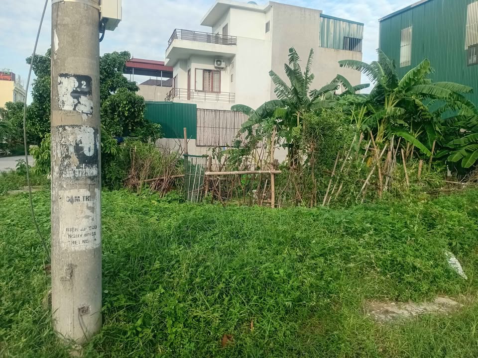 Đất Ninh Tiến Hoa Lư 95m² giá 5 tỷ - Địa điểm vàng gần chợ đầu mối!