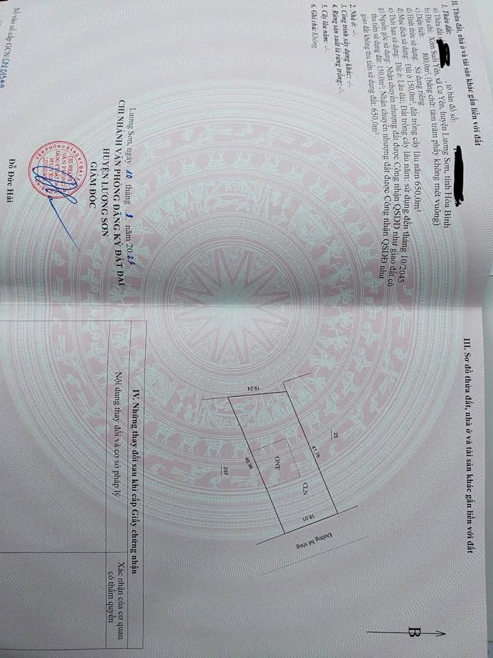 Đất nghỉ dưỡng Cư Yên, Lương Sơn 800m² giá 3 tỷ - View cánh đồng tuyệt đẹp!