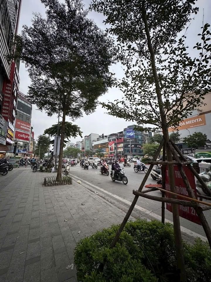 Đất mặt phố Xã Đàn 100m² giá 148 tỷ - Kinh doanh bất chấp