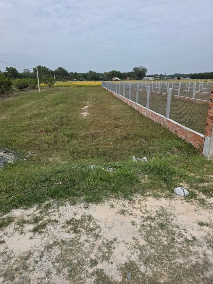 Đất nền ấp Long Giao, xã Long Chữ, Bến Cầu 260m² giá 265 triệu - Đường thông ô tô dễ dàng di chuyển!