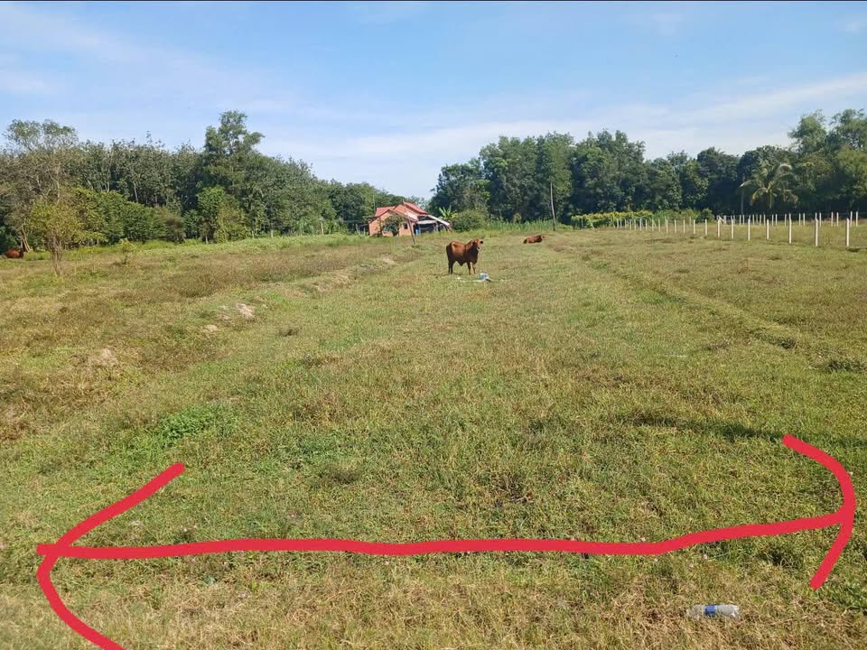 Đất nền Gia Lộc, Trảng Bàng 880m² - Mặt tiền đường ô tô, giá thỏa thuận!