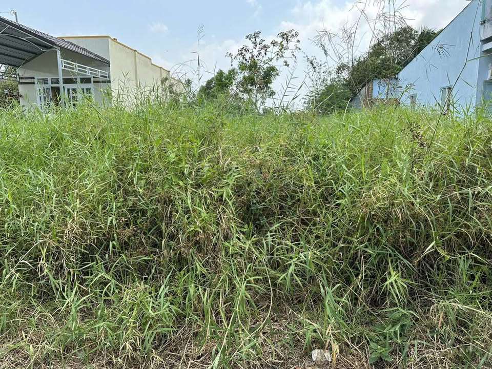 Đất nền Ấp Chùa Phật, Hòa Bình 396m² giá 999 triệu - Đầu tư sinh lời hấp dẫn!