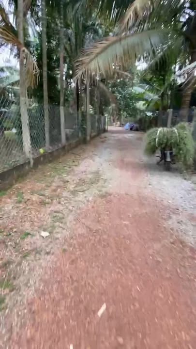 Đất thổ cư Hoài Thanh 1400m² giá 1.2 tỷ - Cơ hội đầu tư hấp dẫn!