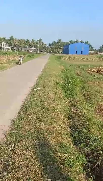 Đất trồng cây hàng năm tại Hoài Phú 400m² giá thỏa thuận - Cơ hội đầu tư tốt!