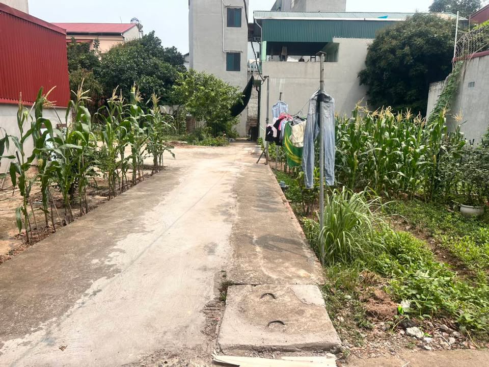 Đất thổ cư Dương Xá Gia Lâm 55m² giá 3.5 tỷ - Đầu tư sinh lời hấp dẫn!