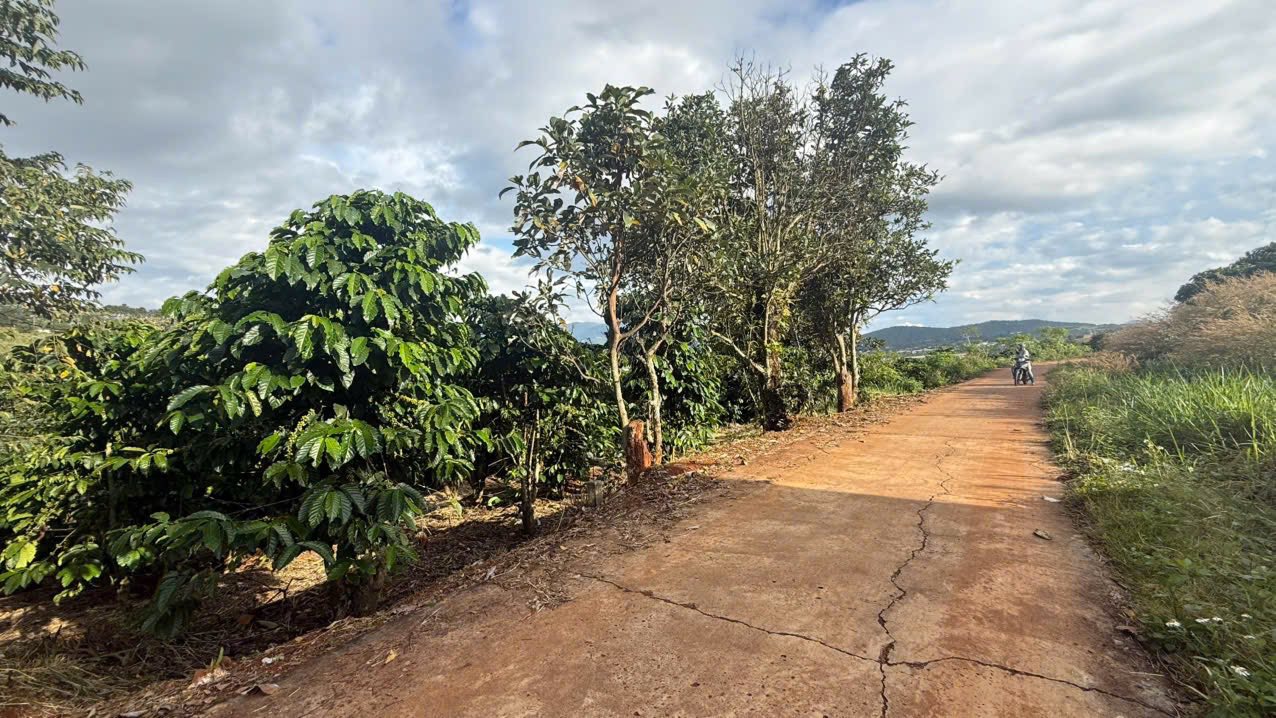 Đất trung tâm Nam Ban, Lâm Hà 609m² giá 800 triệu - Cơ hội đầu tư hiếm có!