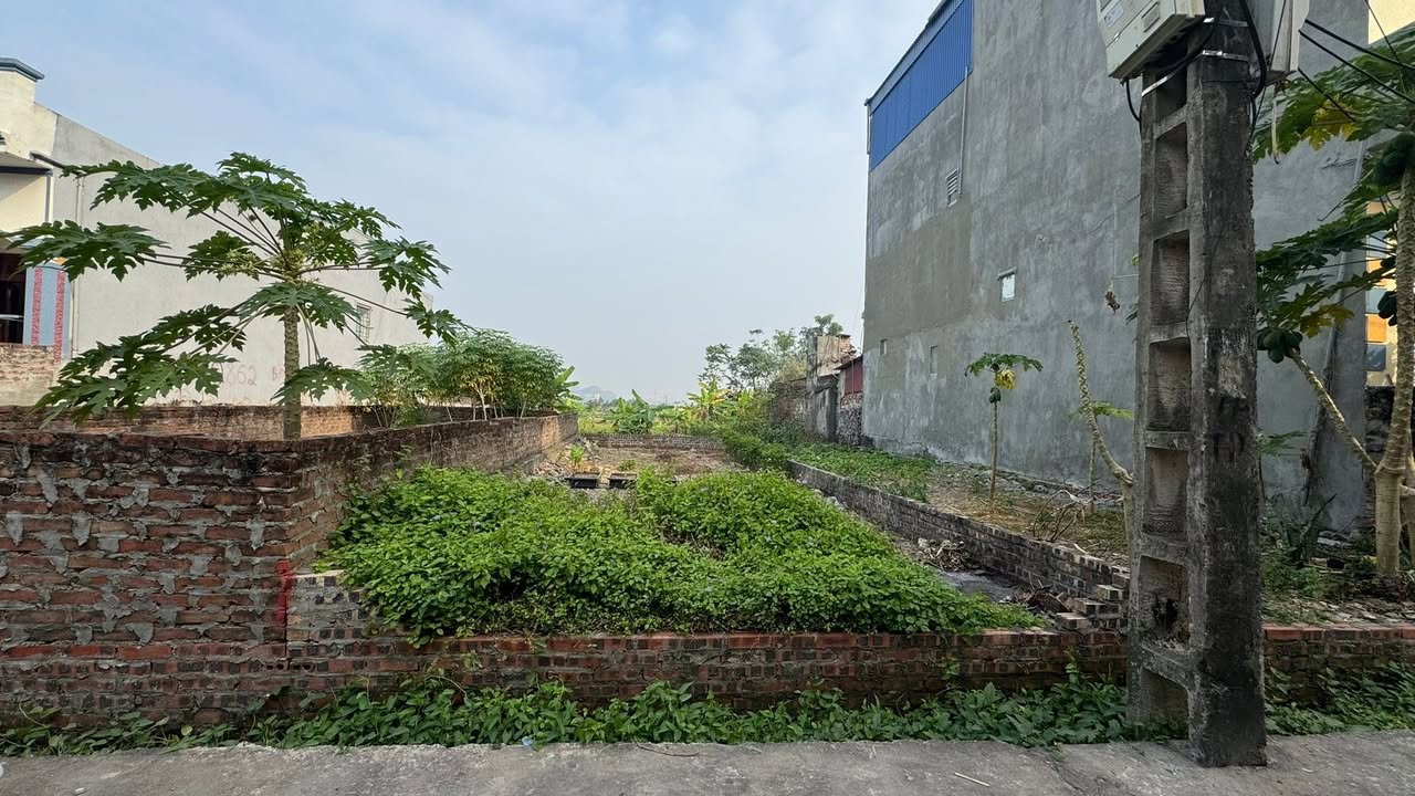 Đất nền Tuy Lai, Mỹ Đức 54.6m² chỉ 1 tỷ - Sổ đỏ chính chủ, vị trí đẹp!