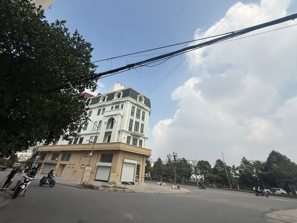 Đất giãn dân Dương Lôi Tân Hồng 90m² giá 8 tỷ - Sổ hồng chính chủ giao dịch ngay!