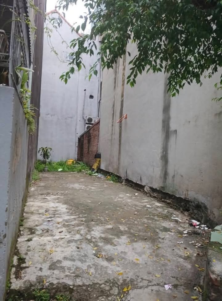 Lô đất Tả Thanh Oai, Thanh Trì 50m² giá 5 tỷ - Đầu tư sinh lời ngay!