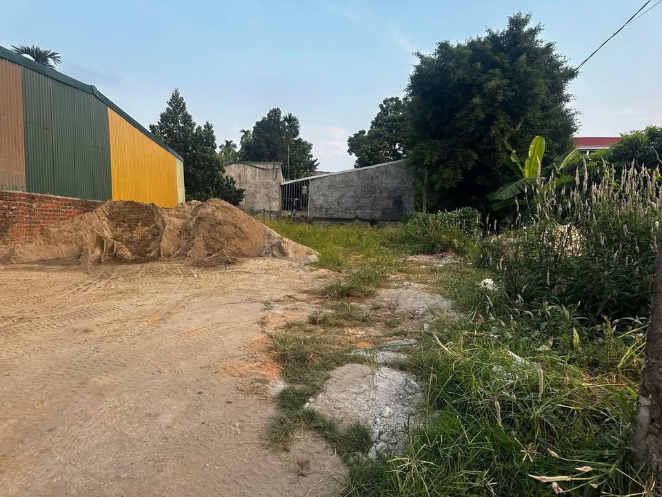 Đất nền kinh doanh tại xã Hà Lộc, Phú Thọ 150m² - Vị trí đắc địa, giá tốt!