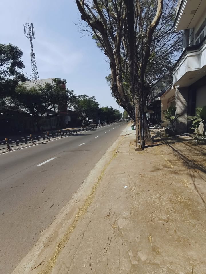 Đất Mặt Tiền Huỳnh Văn Nghệ, Bửu Long 100m² giá 5.65 tỷ - Cơ hội đầu tư sinh lời!