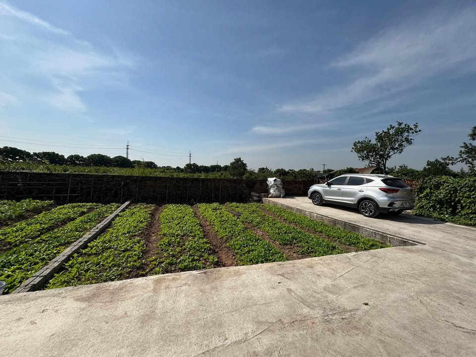 Đất nền Tân Dân, Khoái Châu 65m² giá chỉ 1 tỷ - Lô góc đắc địa, đầu tư sinh lời!