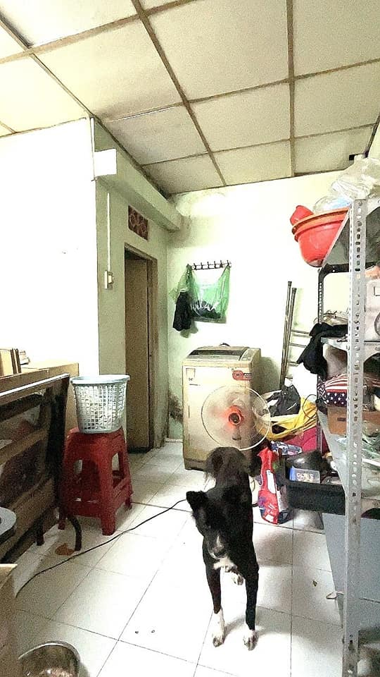 Bán gấp nhà Tân Bình 84m² giá chỉ 5.8 tỷ - Đường xe hơi 20m