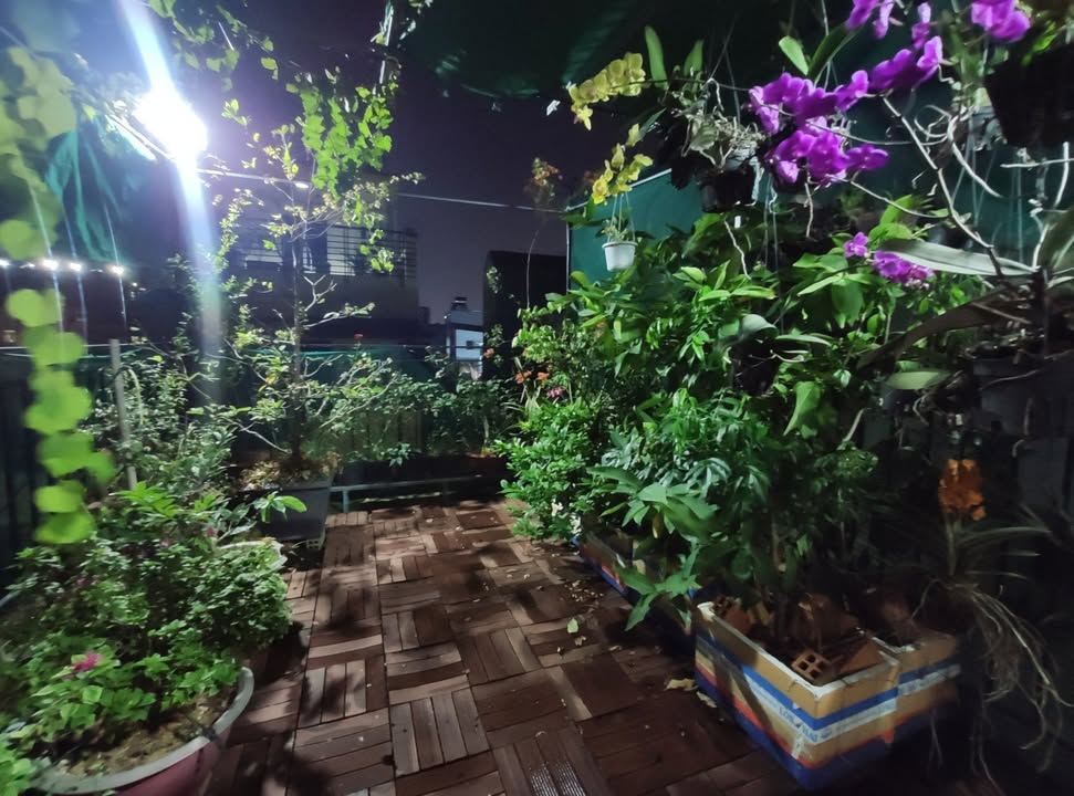 Nhà 3 tầng mặt tiền Quốc Lộ 50, quận 8 - Diện tích 40m², chỉ 4 tỷ