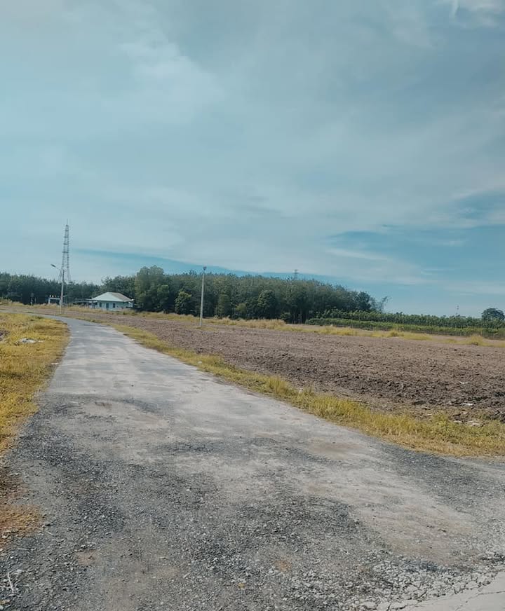 Đất nền 250m² tại ấp 1 Nha Bích, Chơn Thành giá 790 triệu - Sổ đỏ chính chủ!