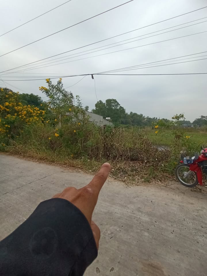 Đất thổ cư sổ hồng riêng 175m² tại xã Mỹ Hạnh, Đức Hòa - Giá chỉ 1,4 tỷ, cơ hội đầu tư tuyệt vời!