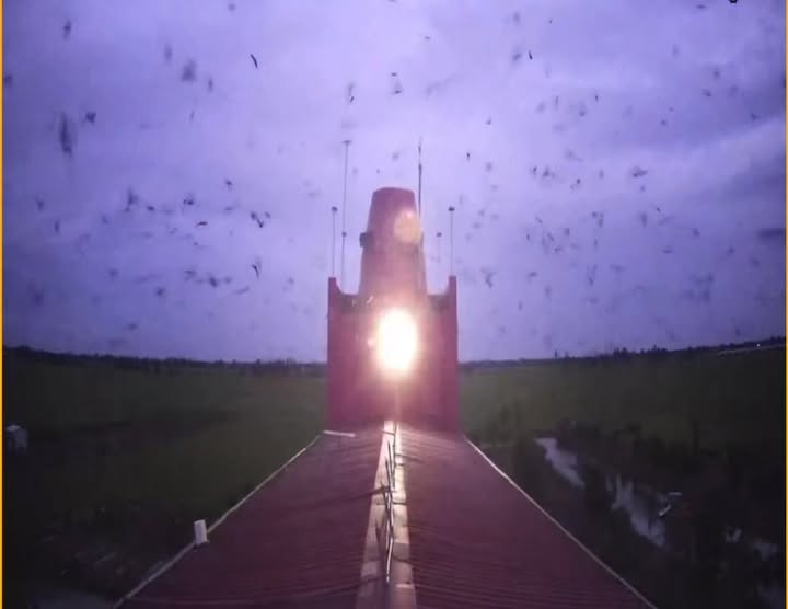 Farm tại xã Vĩnh Bình, huyện Châu Thành, An Giang 300m² giá 4.79 tỷ - Đầu tư sinh lời ngay!