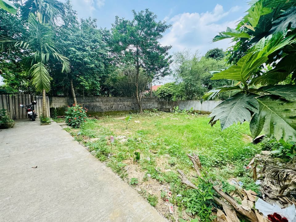 Đất nền đường Lý Thần Tông, Hương An, 105m² giá chỉ 950 triệu - Cơ hội đầu tư tuyệt vời!