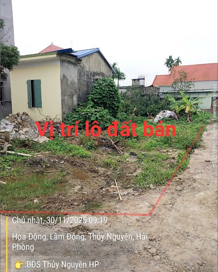 Đất nền Lâm Động - Thủy Nguyên 123m² sổ đỏ - Lô góc hai mặt tiền hấp dẫn!