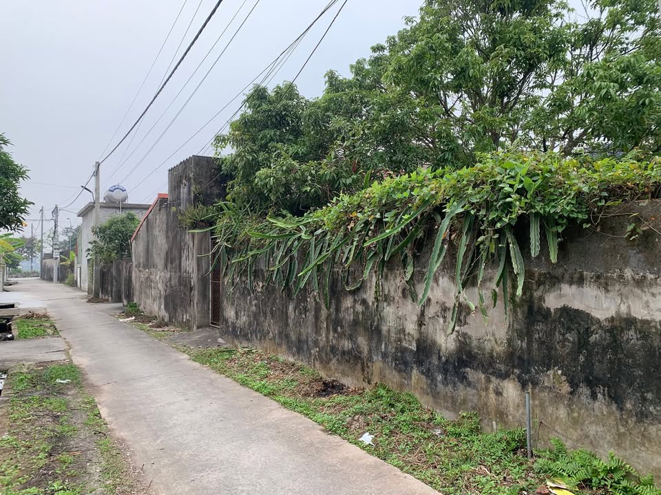 Đất nền Xuân Ngọc 129m² giá thỏa thuận - Sổ đỏ chính chủ, xe hơi vào tận nơi!