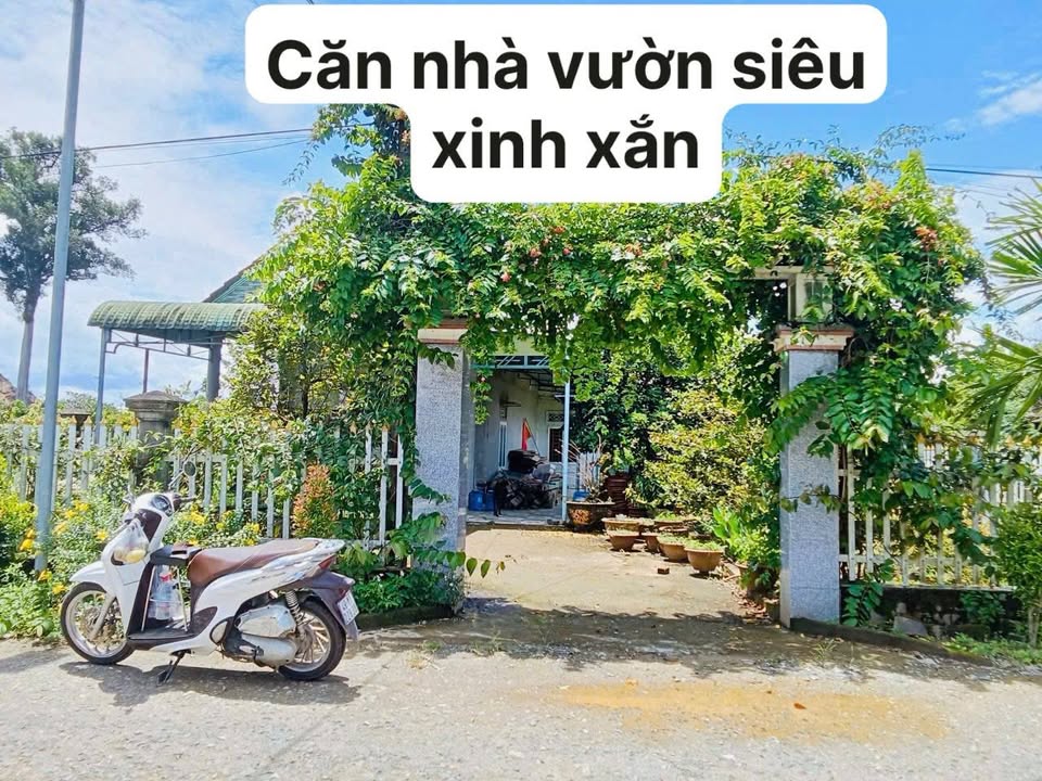 Nhà vườn Đạ Lây - Lâm Đồng 1300m² giá chỉ 1.85 tỷ - Cơ hội đầu tư tuyệt vời!