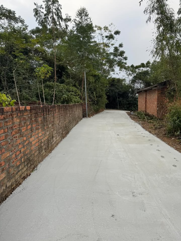 Đất nền phường Nông Trang, Việt Trì 100m² giá 850 triệu - Sổ đỏ chính chủ, ô tô vào tận nơi!