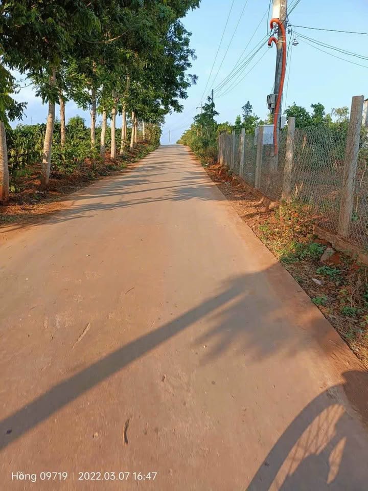 Đất nền Tân Hội 200m² giá chỉ 750 triệu - Pháp lý rõ ràng, xây dựng tự do!