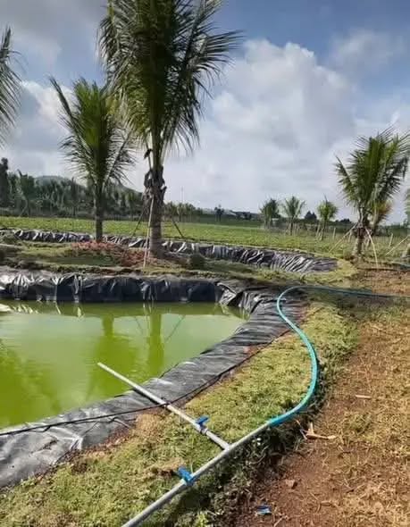 Đất nền Tân Hội, Đức Trọng 4500m² giá 4.5 tỷ - Sổ hồng chính chủ, đầu tư sinh lời!