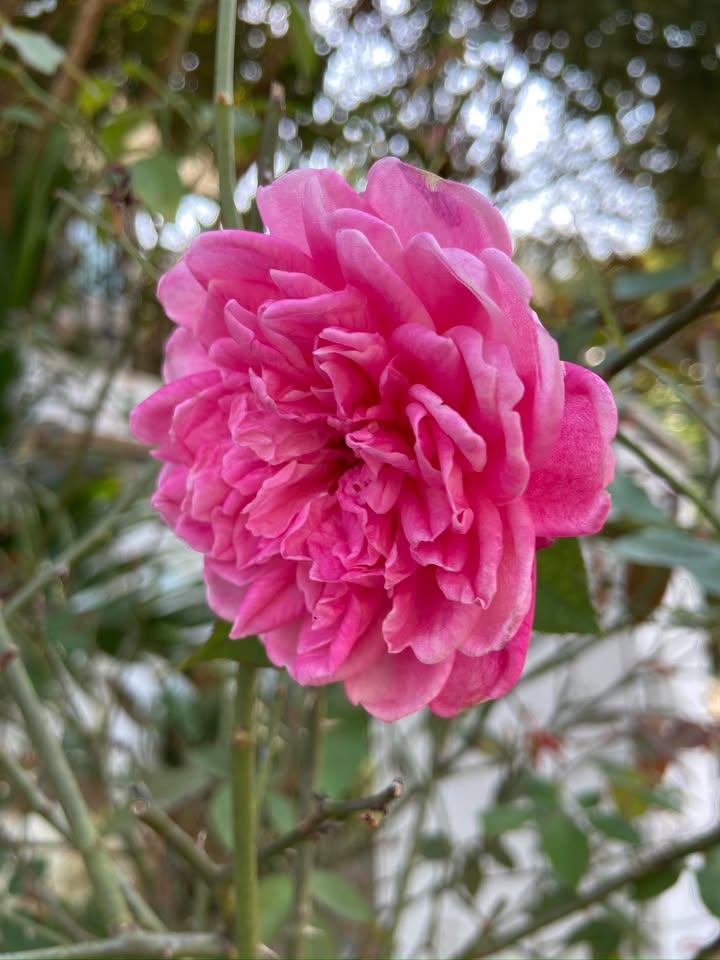 Đất nền Tân Hòa 54m² giá chỉ 8xx triệu - Hướng Tây Bắc, nở hậu!