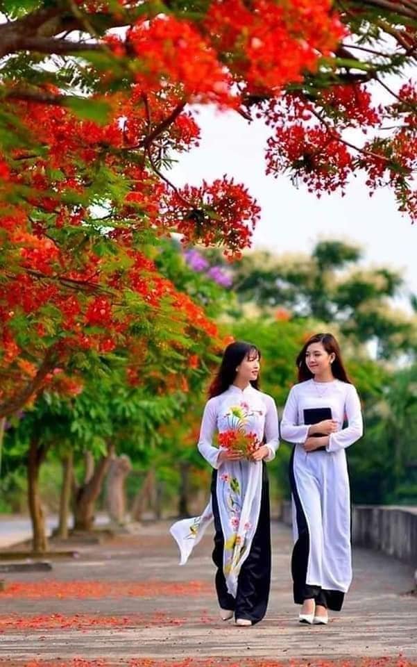 Đất mặt đường Nguyễn Tất Tố, Kênh Dương, Lê Chân, Hải Phòng - Đầu tư sinh lời ngay!