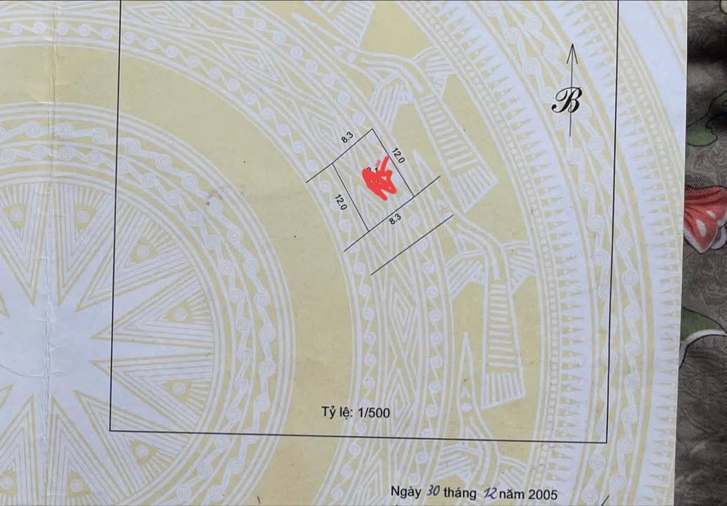 Đất thổ cư đường Thúy Lĩnh 110m² - Đầu tư sinh lời khủng!