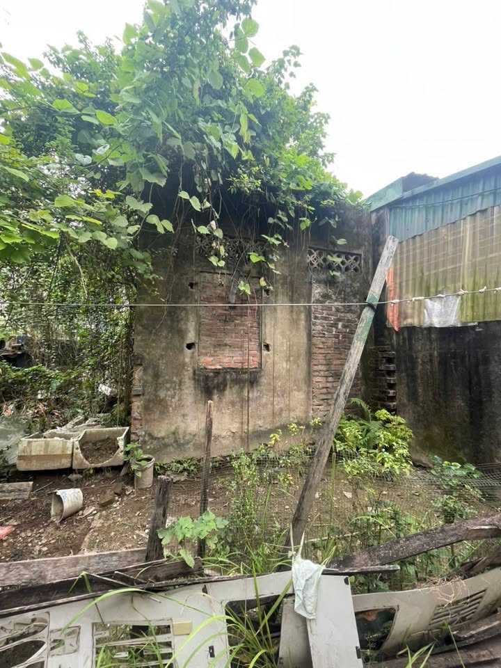 Đất nền Phú Lương Hà Đông 44m² giá 3 tỷ - Vị trí đắc địa, tiềm năng phát triển!