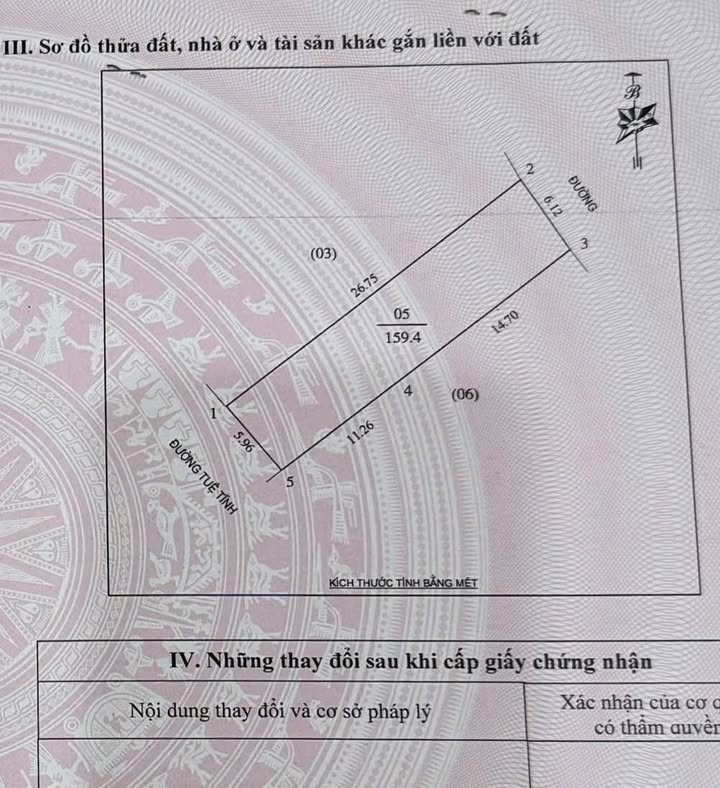 Nhà kinh doanh mặt đường Tuệ Tĩnh, phường Hà Huy Tập, 160m² - Vị trí đắc địa, thu hút khách hàng!