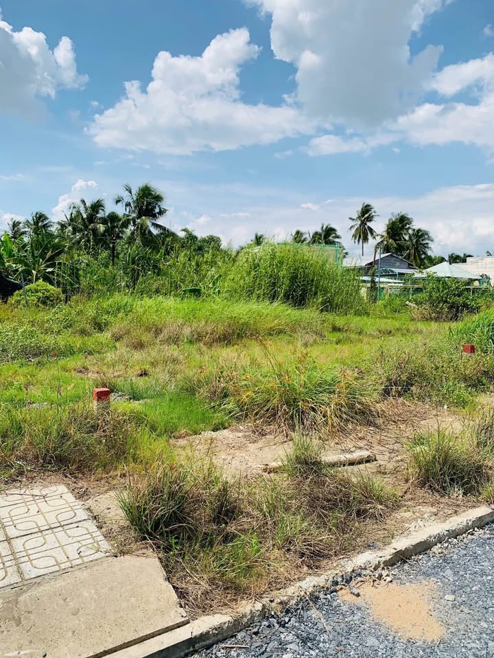 Lô đất TĐC Phường 7 Bến Tre 86m² giá 1.35 tỷ - Vị trí đẹp, thuận tiện di chuyển!