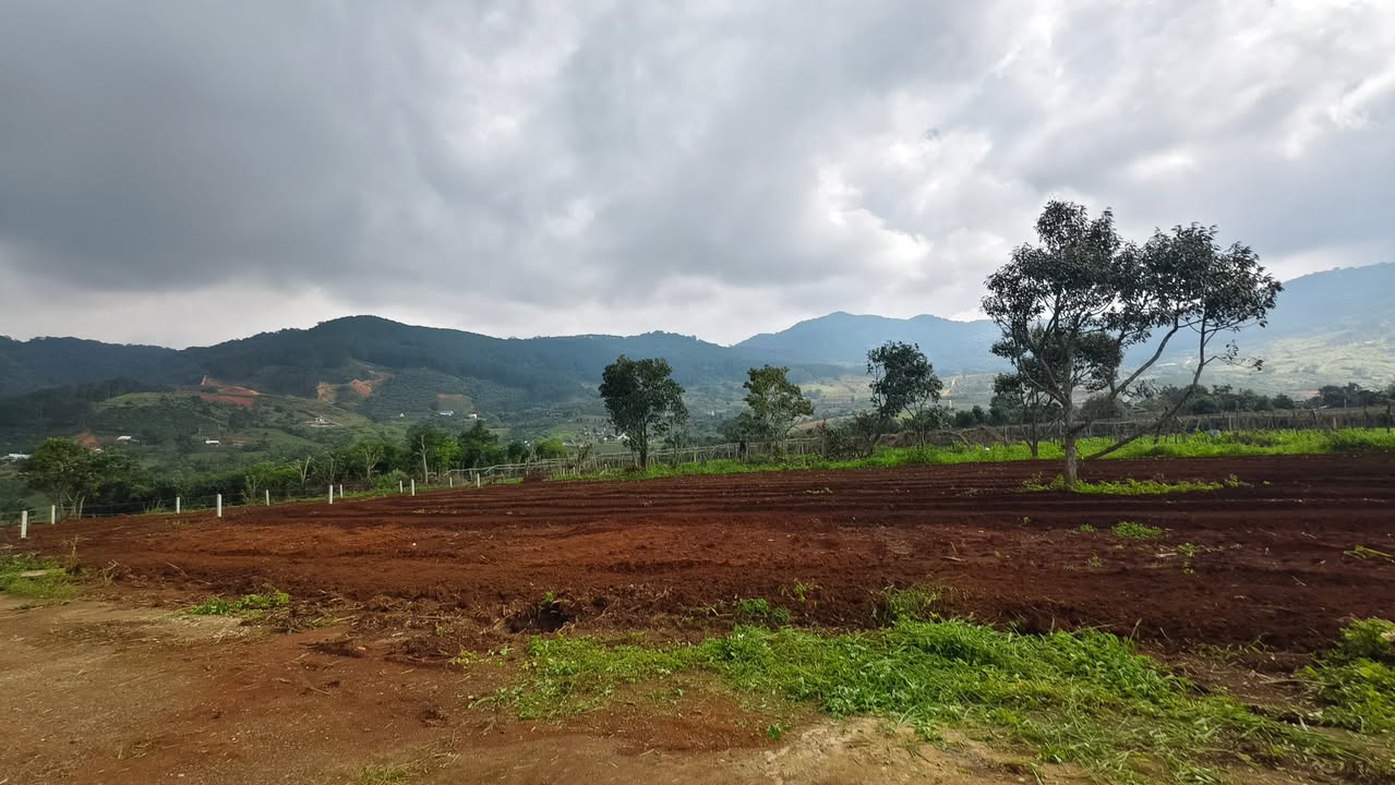 Đất nền Đông Thanh, Lâm Hà 518m² giá chỉ 850 triệu - Đường bê tông rộng rãi!