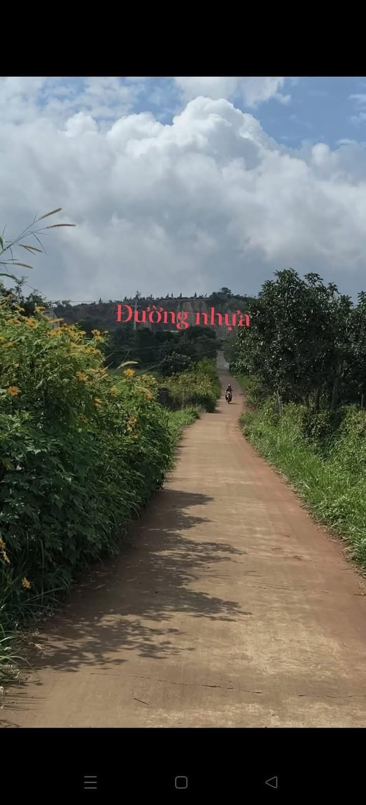 Đất phân lô Lâm Hà 7500m² - Đầu tư sinh lời hấp dẫn!