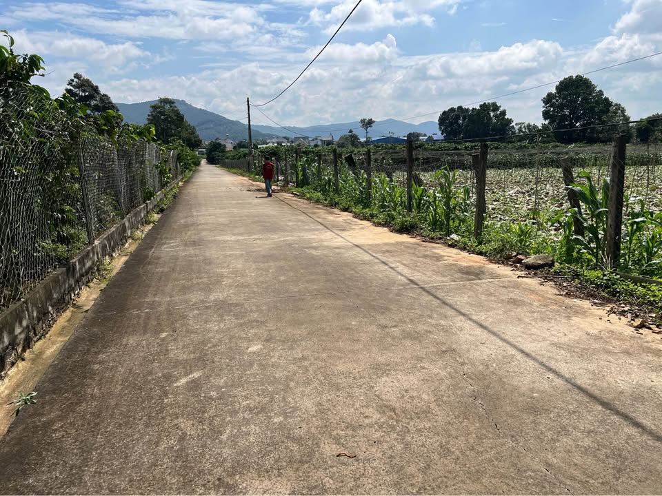 Bán đất thổ cư Liên Hiệp 100m² giá 2.39 tỷ - Pháp lý rõ ràng, vị trí đẹp!