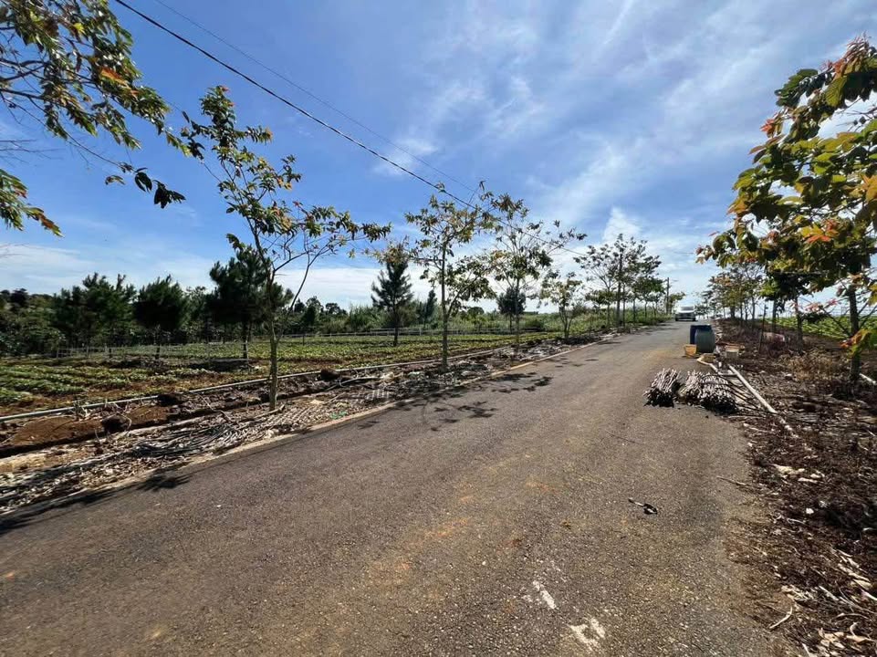 Đất nền Nguyễn Huệ, Bảo Lộc 500m² giá 650 triệu - Sổ đỏ chính chủ!