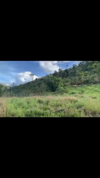 Farm Đăk Ui, Đăk Hà, Kon Tum 5ha giá 1 tỷ - Cơ hội đầu tư sinh lời!