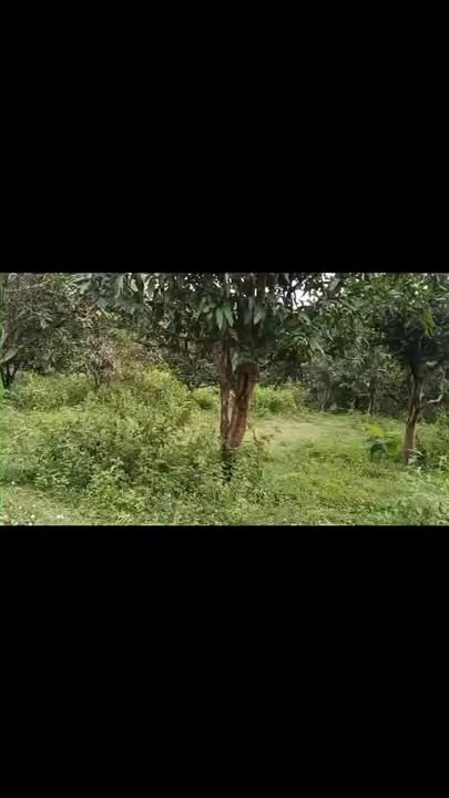 Đất Farm 12000m² xã Ngọc Định, Định Quán giá 2.1 tỷ - Chính chủ bán gấp!