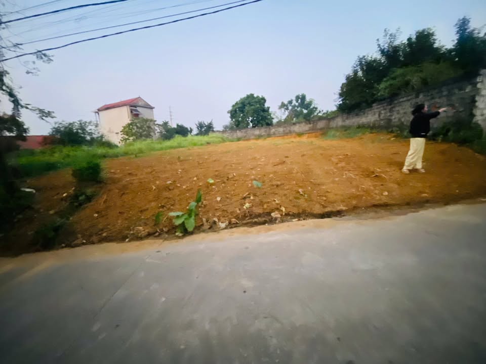 Đất nền Yên Bài, Ba Vì 310m² - Đầu tư homestay lý tưởng!