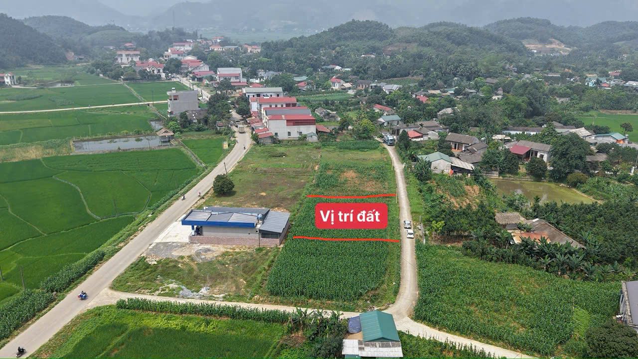 Đất thổ cư Thượng Long - Yên Lập 240m² giá 800 triệu - Cơ hội đầu tư tuyệt vời!