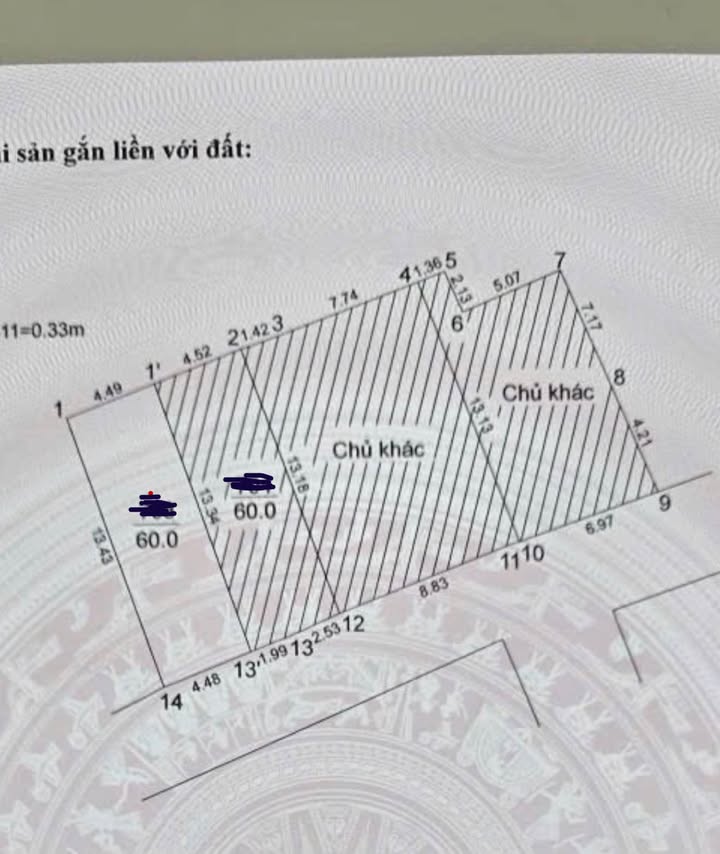 Đất nền Xuân Đỉnh 60m² giá 16,5 tỷ - Vị trí kinh doanh đắc địa!