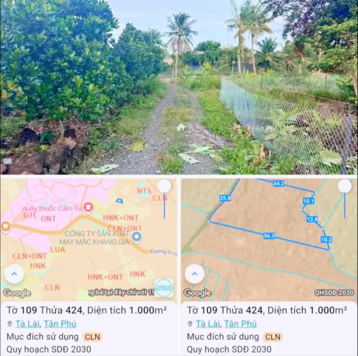 Đất nền xã Phú Thịnh, huyện Tân Phú, 1000m² giá 350 triệu - Sổ hồng chính chủ!