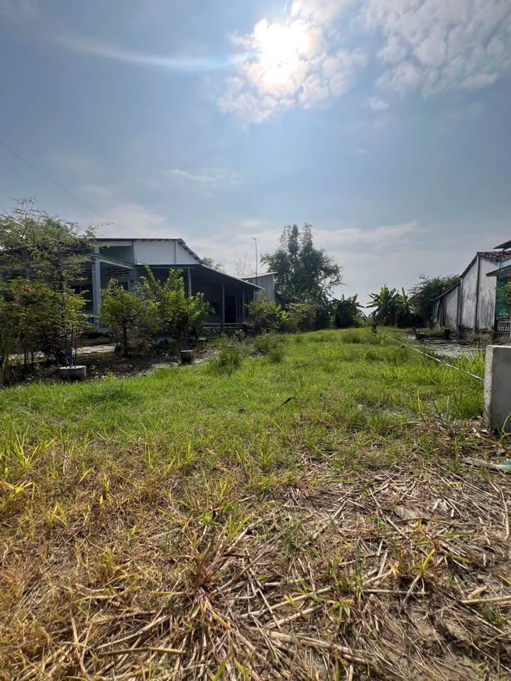 Đất nền 209m² tại Ấp Kế Mỹ, Cần Giuộc giá 2.05 tỷ - Xây dựng tự do!