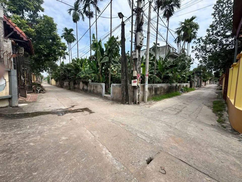 Đất thổ cư lô góc 85m² tại Hoàng Kim chỉ 2.55 tỷ - Vị trí đắc địa, ô tô tránh!