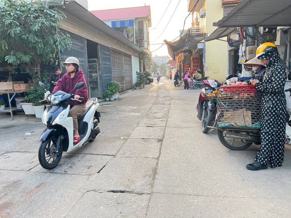 Đất thổ cư Thường Lệ, Đại Thịnh, Mê Linh 100m² giá 7 tỷ - Đầu tư sinh lời tốt!